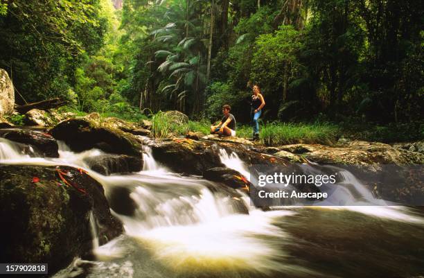 Springbrook Ranges 152 Springbrook National Park Stock Photos, High-Res Pictures, and ...