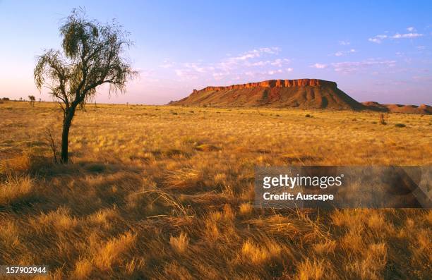 112 Great Sandy Desert Photos and Premium High Res Pictures - Getty Images