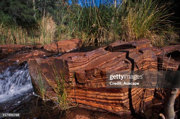 Banded iron,between 2 and 2.2 billion years old, at Fortescue Falls, Dales Gorge. Karijini National Park, Hamersley Range, Pilbara region, Western...