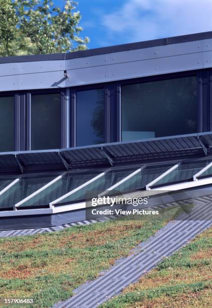 Larmenier And Sacred Catholic Primary School, London, United Kingdom, Architect Studio E Architects, Larmenier And Sacred Catholic Primary School...