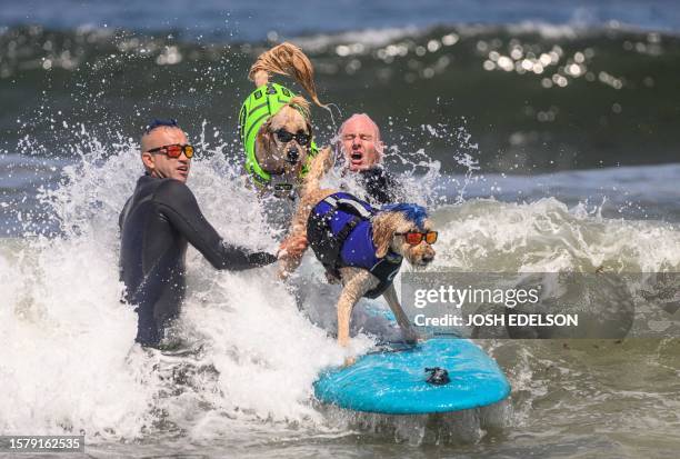 Derby, a goldendoodle and Surf Dog Teddy compete during the tandem heat of the World Dog Surfing Championships in Pacifica, California on August 5,...