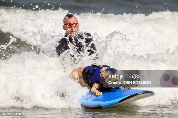 With matching mohawks, Kentucky Gallahue and his goldendoodle Derby compete during the World Dog Surfing Championships in Pacifica, California, on...