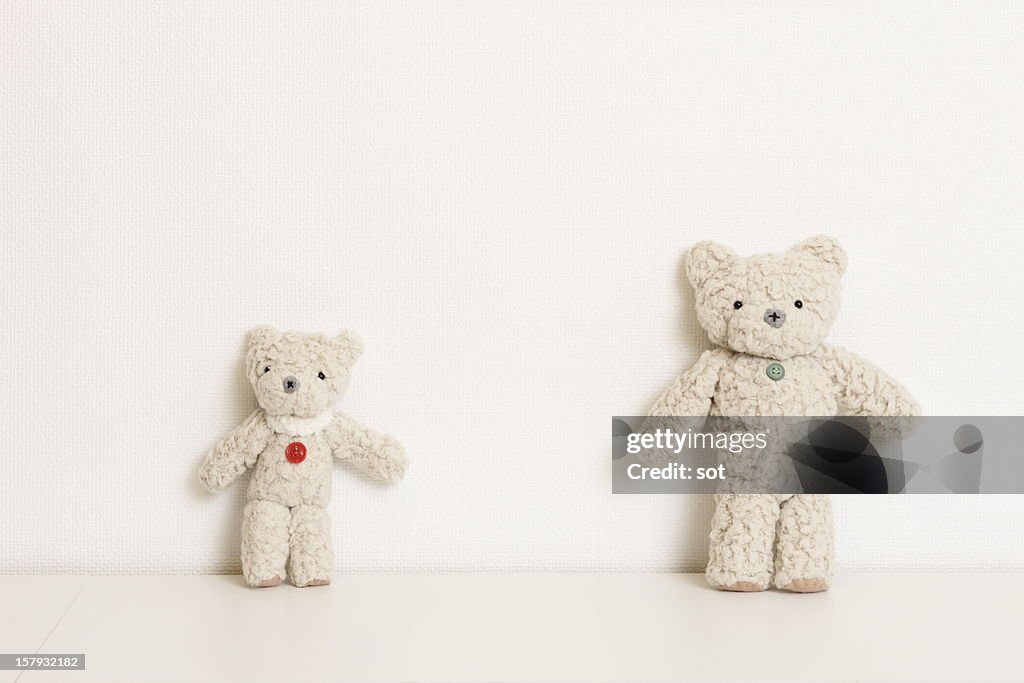 Two teddy bears