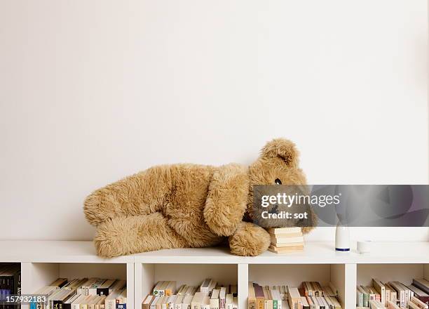 big teddy bear lying on bookcase - bear lying down stock pictures, royalty-free photos & images