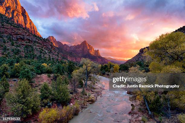 the watchman, zion national park, utah - zion national park sunset foto e immagini stock
