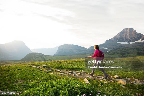 a female backpacking in the mountains. - kalispell montana stockfoto's en -beelden