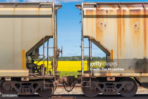 close up of freight train cars against rural background - güterzug stock-fotos und bilder