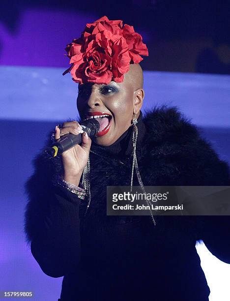Janice Robinson performs at Mike Ruiz' Birthday Gala at XL Nightclub on December 7, 2012 in New York City.