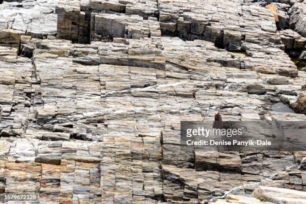 closeup of sheer rocks of cliff - panyik-dale stock pictures, royalty-free photos & images