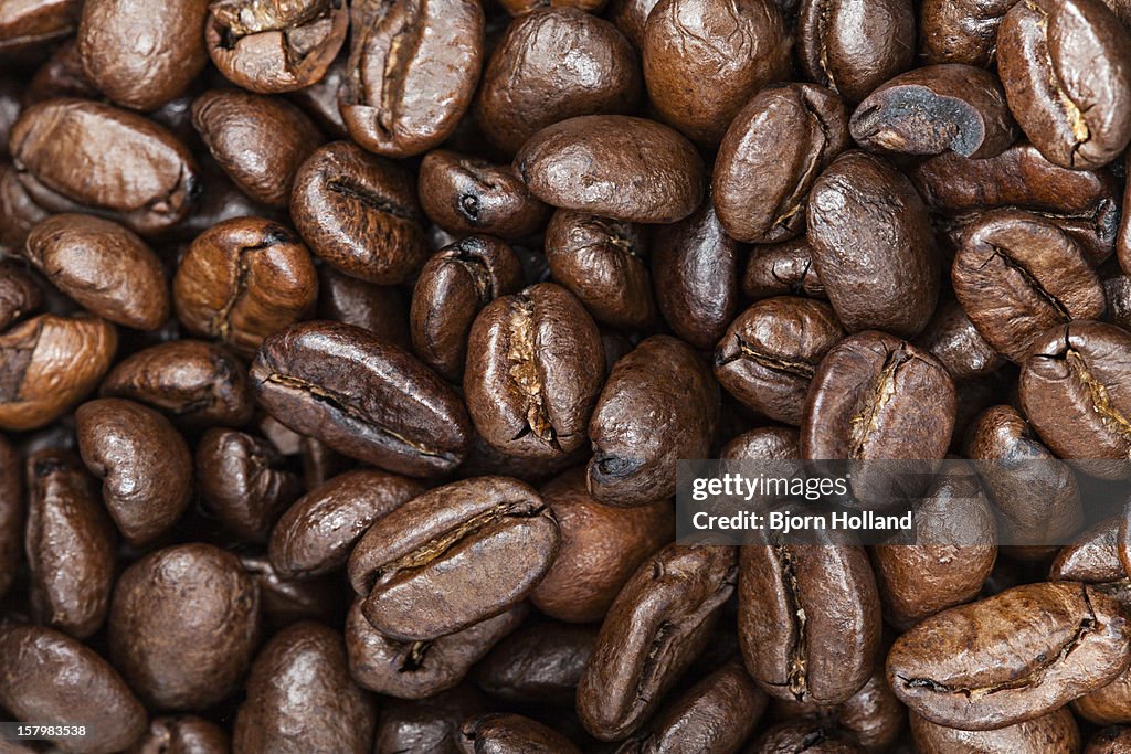 Organic coffee beans