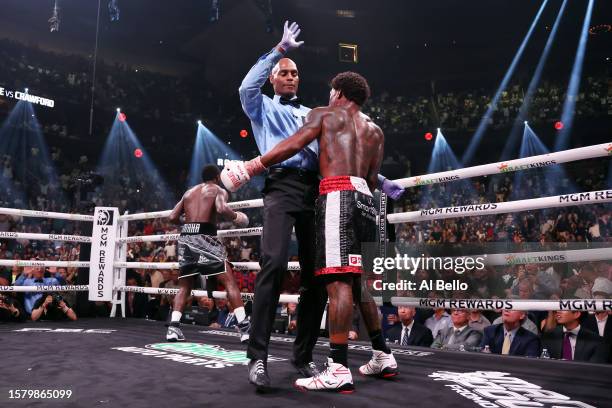 Terence Crawford celebrates his victory against Errol Spence Jr. After the referee stopped the fight during round nine of the World Welterweight...