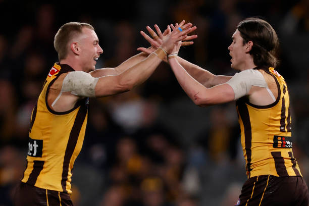 Will Day of the Hawks celebrates a goal during the round 20 AFL match between Hawthorn Hawks and St Kilda Saints at Marvel Stadium, on July 30 in...