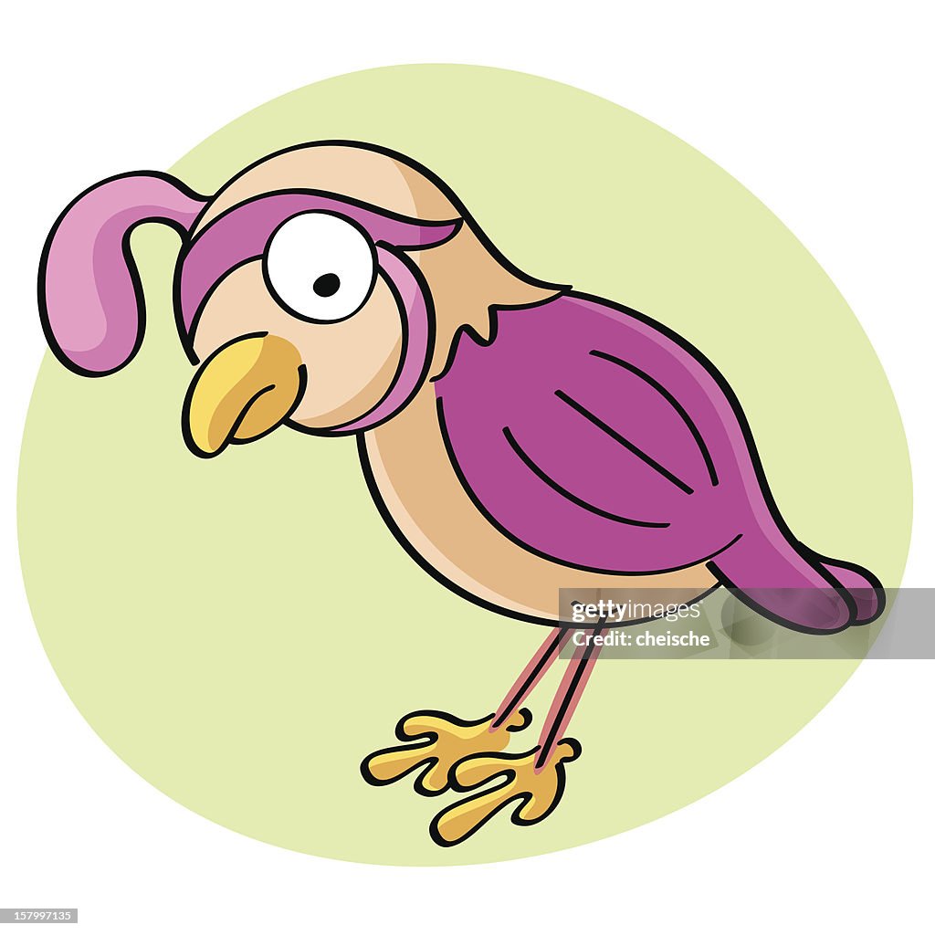 Quail Cartoon High-Res Vector Graphic - Getty Images