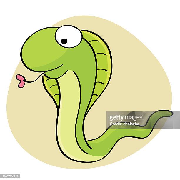 1,001 Snake Cartoon Photos and Premium High Res Pictures - Getty Images