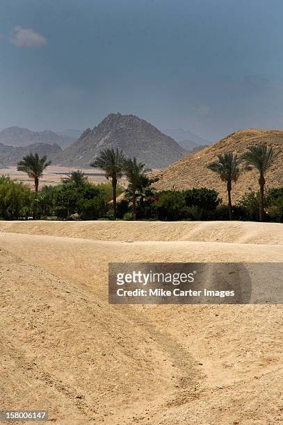 sharm desert - mt sinai stock pictures, royalty-free photos & images