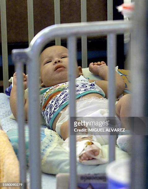 Maynor Lopez, four moths old, is seen in the hospital receiving treatment for dengue, the epidemic that has already taken 11 lives in Managua,...