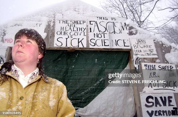 Linda Faillace stands in front of protest signs outside a small barn -- containing 126 imported Beltex and East Friesian sheep suspected of having a...