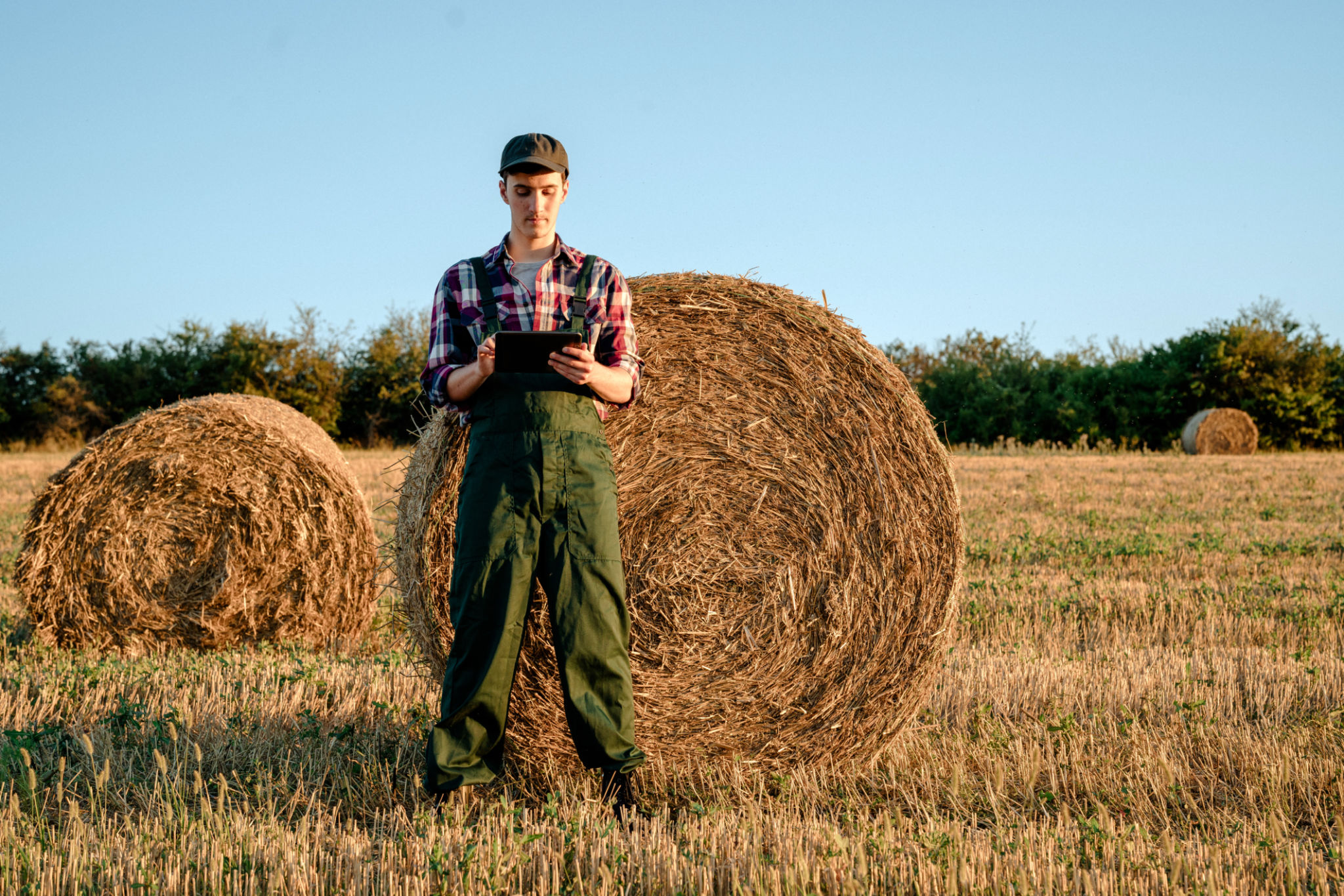 Young male farmer standing in the wheat field with straw bales using tablet Young male farmer standing in the wheat field with straw bales using tablet
