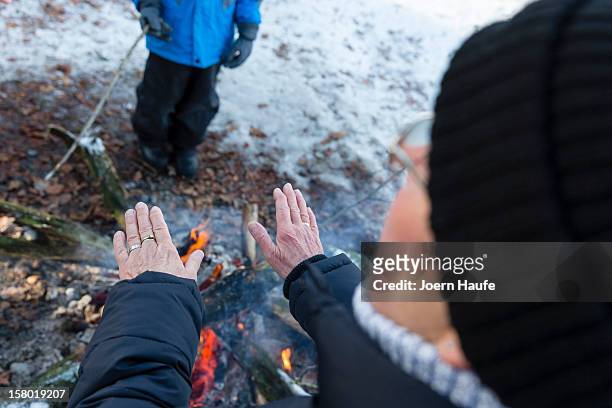 Visitor warms their hands over to a camp fire after choosing and cutting down their Christmas trees in a forest on on December 8, 2012 in Fischbach,...