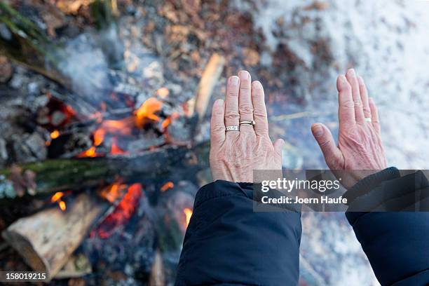 Visitor warms their hands over to a camp fire after choosing and cutting down their Christmas trees in a forest on on December 8, 2012 in Fischbach,...