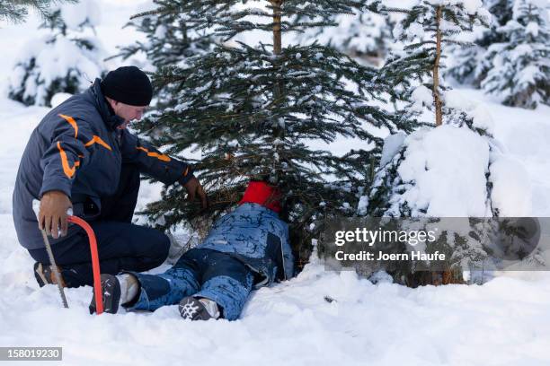 Father and his son cut a Christmas tree in a plantation of Christmas trees in a forest on December 8, 2012 in Fischbach, Germany. Forestry officials...