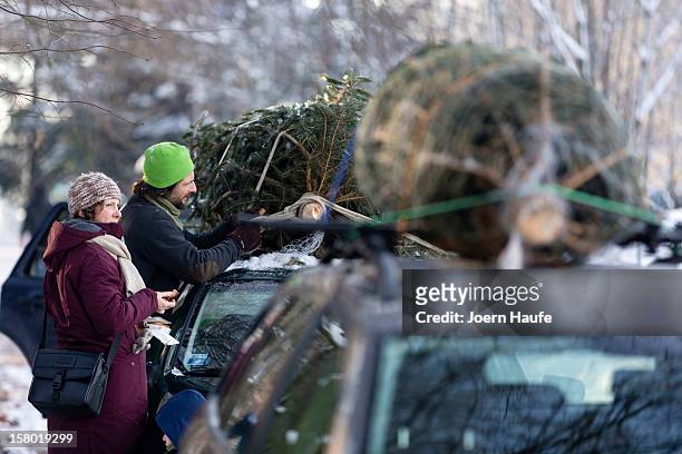 Family tie a Christmas tree they had chosen and cut down themselves to the roof of their car at a forest on December 8, 2012 in Fischbach, Germany....