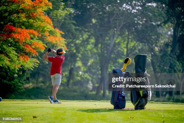 golf player - tree chipping stock pictures, royalty-free photos & images