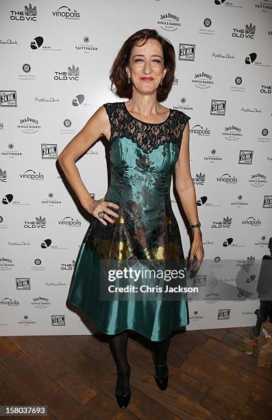 Haydn Gwynne attends the post-show party, The 25th Hour, following The Old Vic's 24 Hour Musicals Celebrity Gala 2012 during which guests drank Jack...