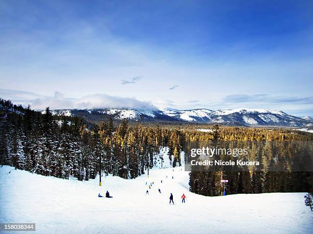 canyon forest trail skiing run on snowy mountains - mammoth lakes stock pictures, royalty-free photos & images