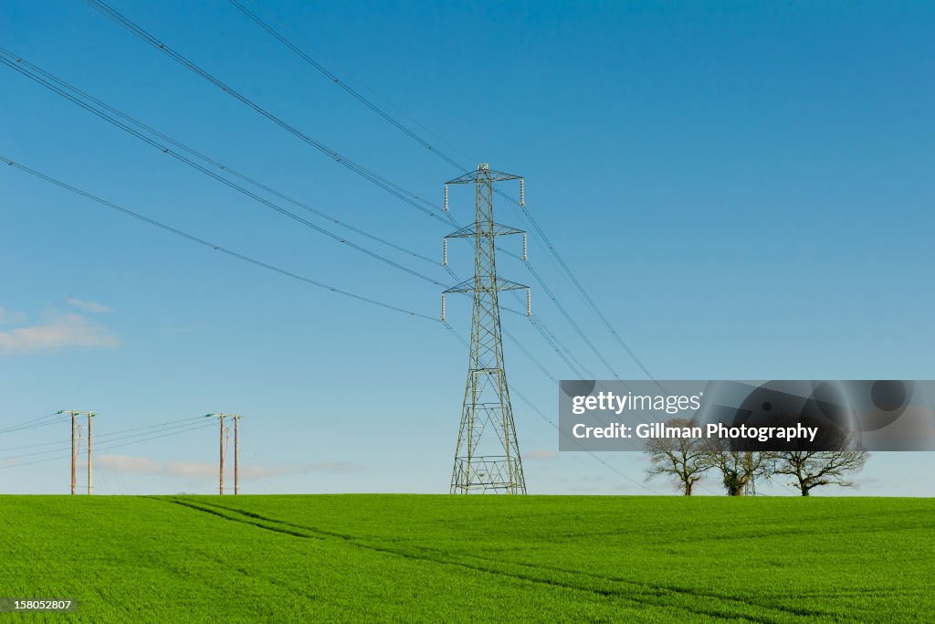 Tree Power