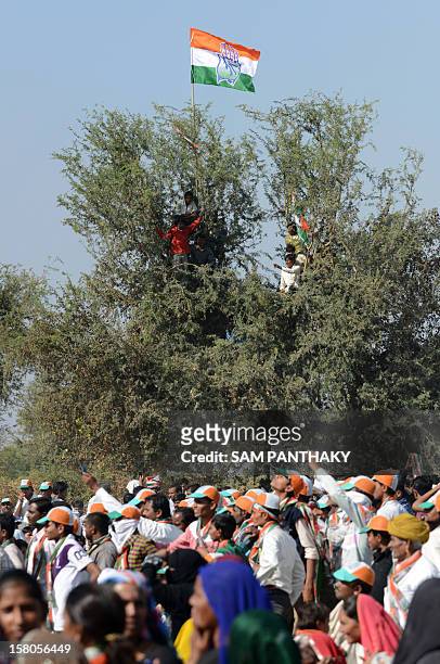 Congress party supporters hold the party flag as they occupy the top of a tree during a political rally addressed by Congress president Sonia Gandhi...