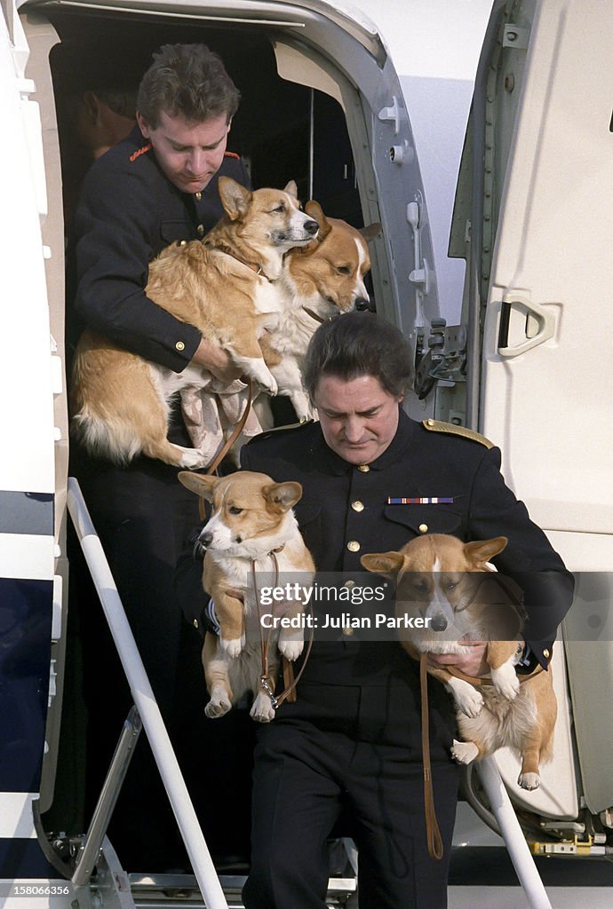 The Queen Mothers Corgis - London