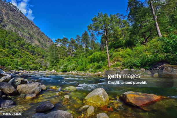 river at tirthan valley, himachal pradesh, india - mountain river stock pictures, royalty-free photos & images