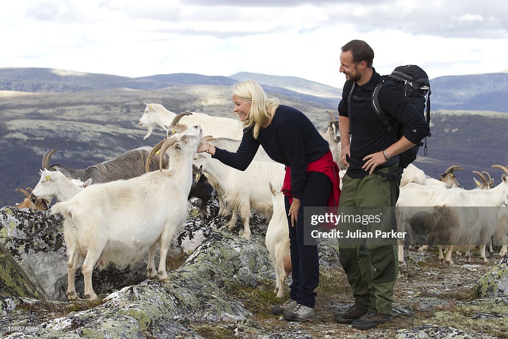 Hedmark Royal Visit