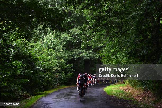 General view of the peloton competing in a wooded area during the 80th Tour de Pologne 2023, Stage 2 a 202.9km stage from Leszno to Karpacz 813m /...