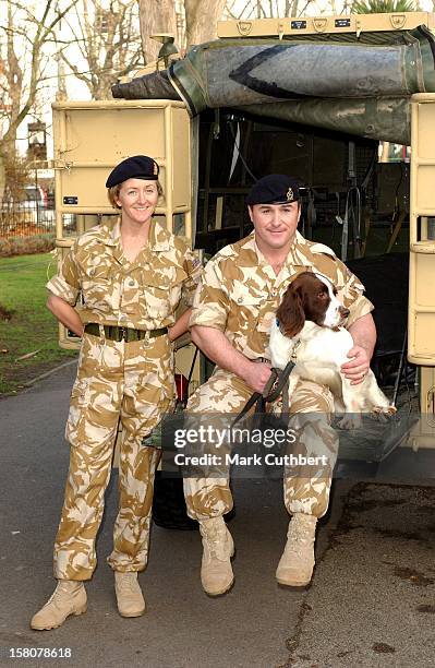 Buster The War Hero Dog, Who Discovered Weapons & Explosives In Southern Iraq, Is Awarded The Animal Equivalent Of The Victoria Cross. .