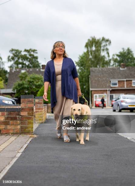 woman with a visual impairment walking with her guide dog - blind dog stock pictures, royalty-free photos & images