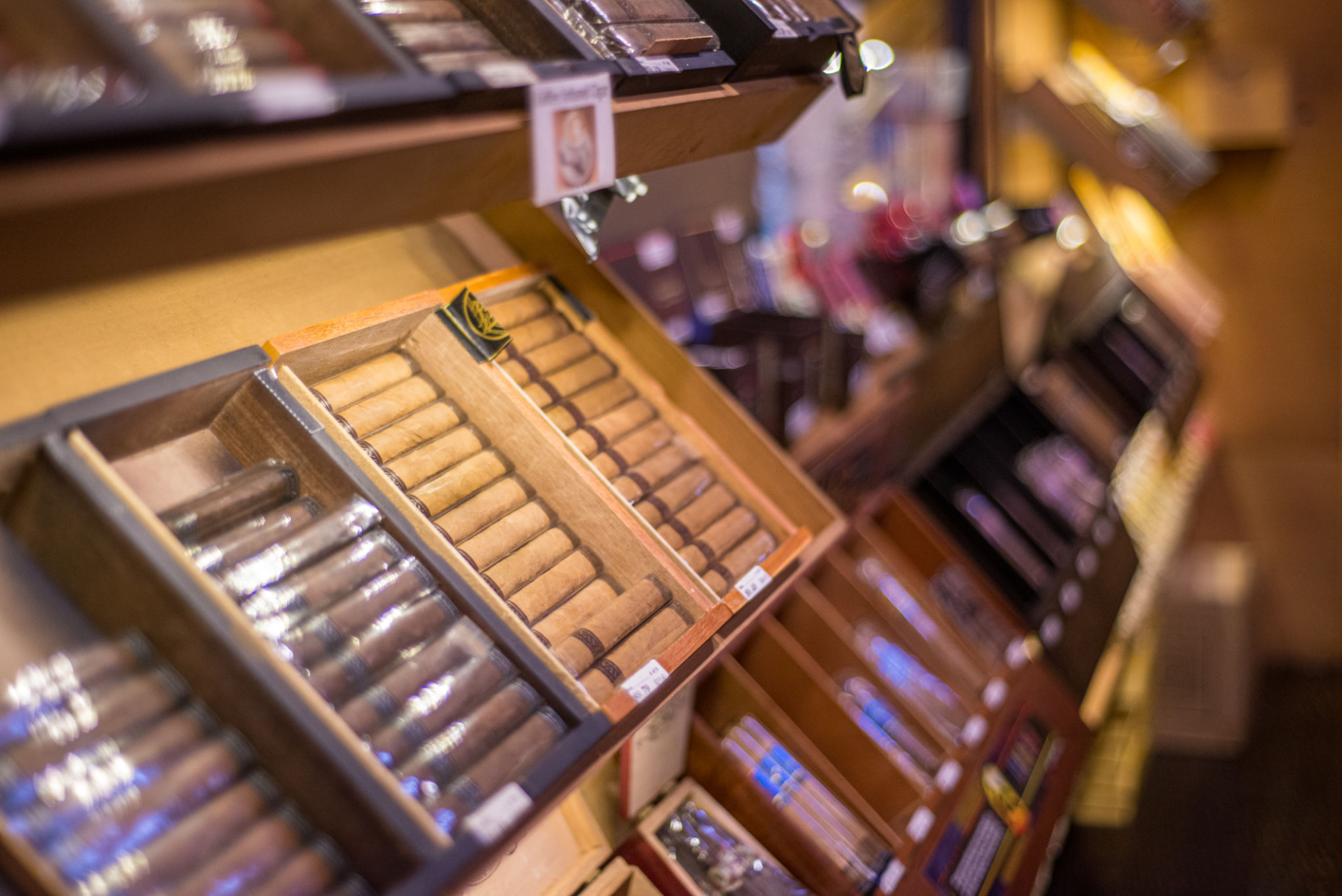 cigar humidor