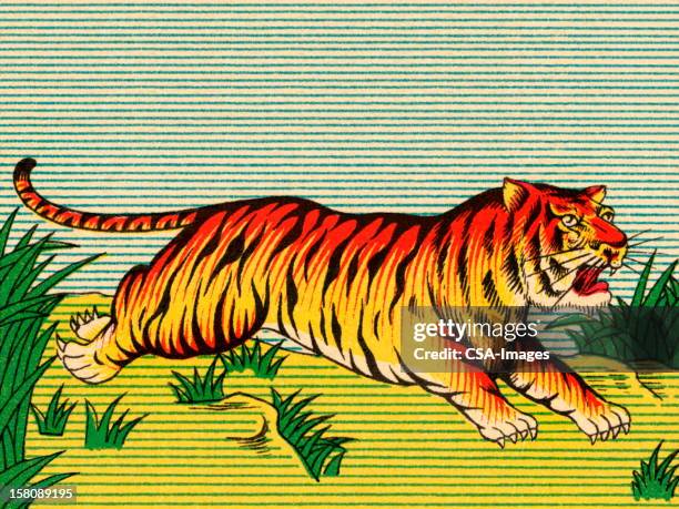 stockillustraties, clipart, cartoons en iconen met tiger running - tiger running