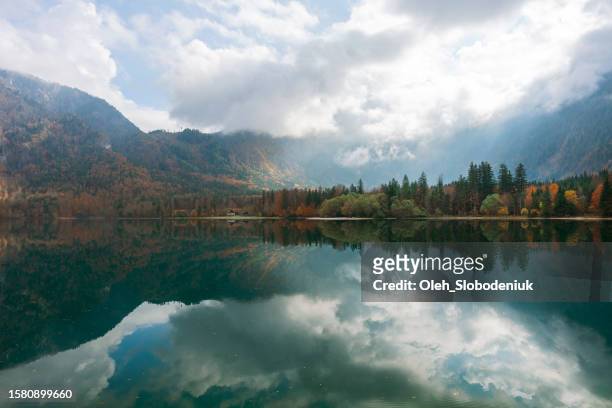 scenic view of lake in alps in austria - lake alpsee stock pictures, royalty-free photos & images