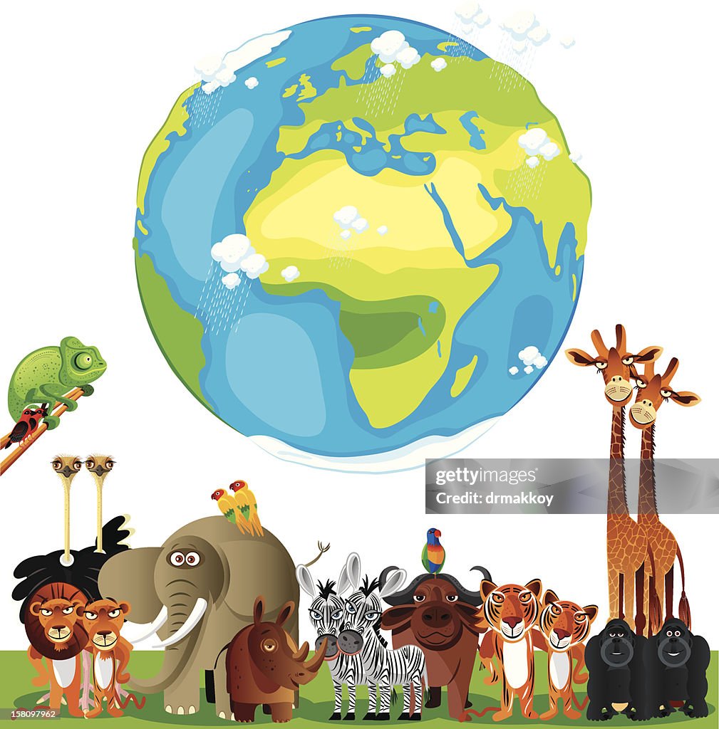 Animais mulher do mundo