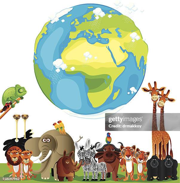 animals cartoon of world - somali cat stock illustrations