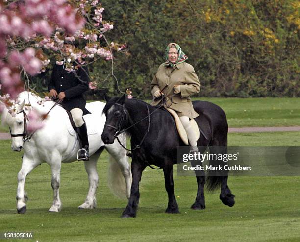 The Queen Horseriding In Windsor On Her 79Th Birthday. .