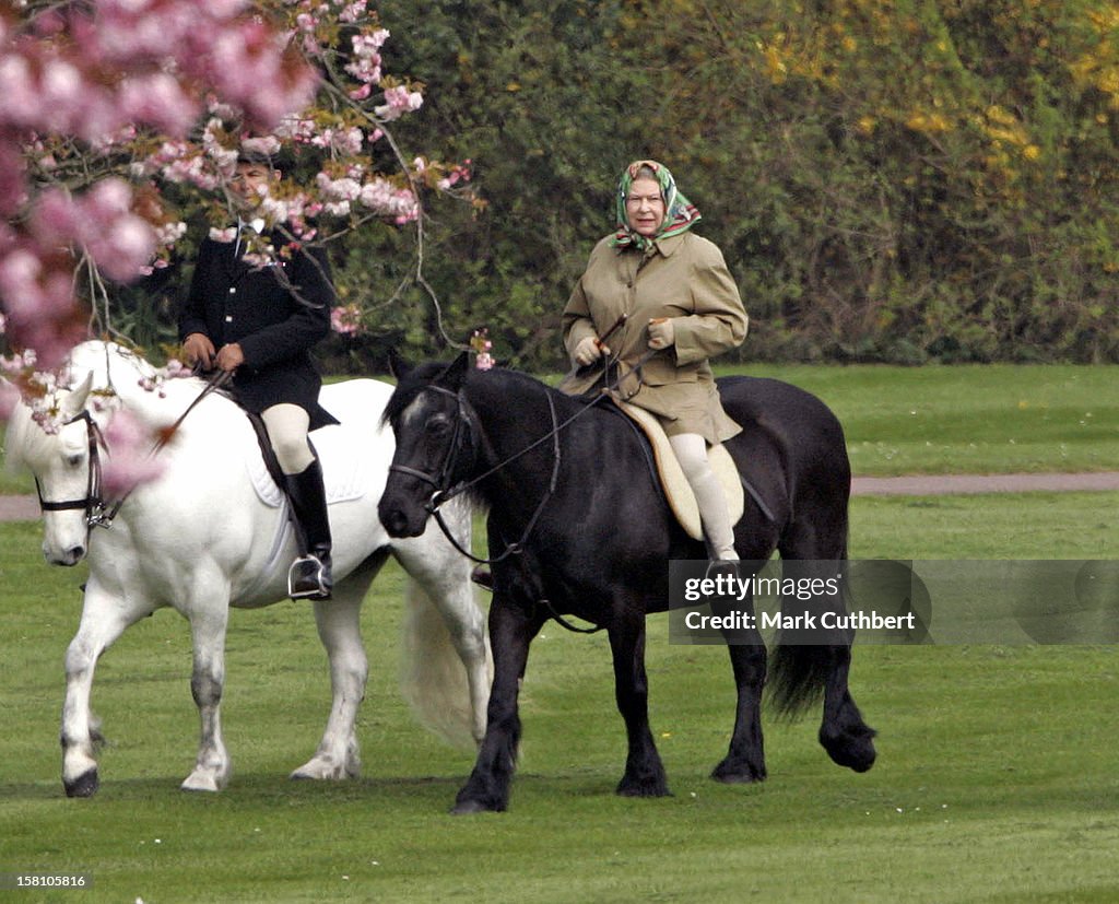 The Queen Horseriding In Windsor On Her 79Th Birthday