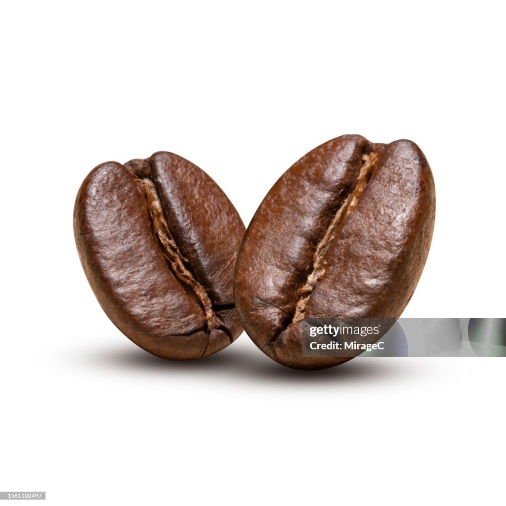 Two Roasted Coffee Beans Isolated on White