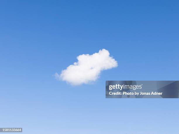 little cloud - small cotton plant stockfoto's en -beelden