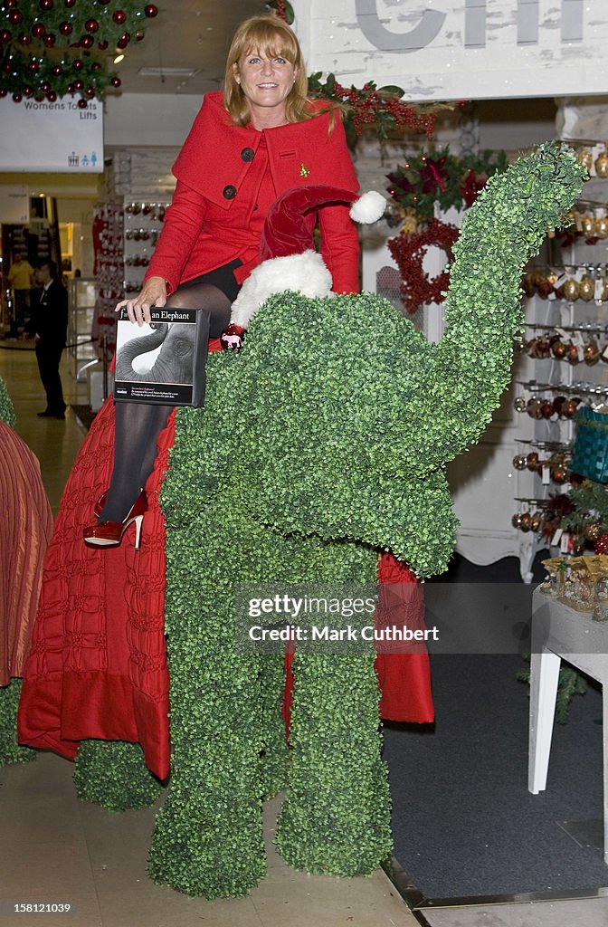 The Duchess Of York Launches Selfridges' Green Christmas Shop - London