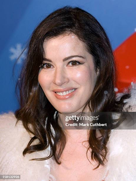 Nigella Lawson During A Photocall For A Signing Session Of Her Book 'Nigella Christmas: Food, Family, Friends And Festivities', At Waterstones In...