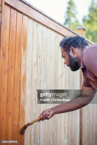 staining the fence - christa stock pictures, royalty-free photos & images