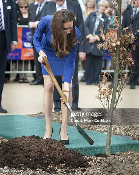 Catherine, The Duchess Of Cambridge, Royal Patron Of East Anglias Childrens Hospices , Visits The Treehouse, A Hospice Run By Each In Ipswich To...